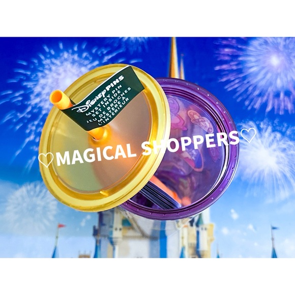 Disney Parks 2025 Starbucks EPCOT Park Icons Tumbler Cold Cup NWT - Picture 4 of 5